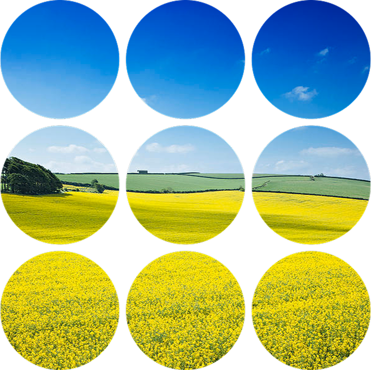 visual container 1 (1)