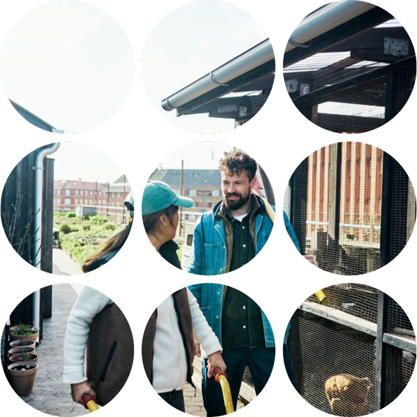 visual container (2)